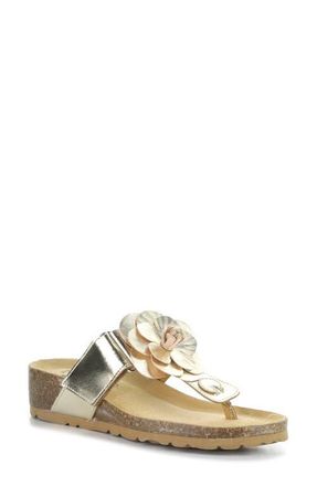 Bos. & Co. Laria Platform Wedge Flip Flop in Gold at Nordstrom, Size 10-10.5Us