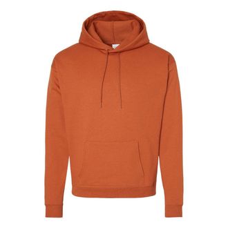 Hanes Ecosmart Hooded Sweatshirt