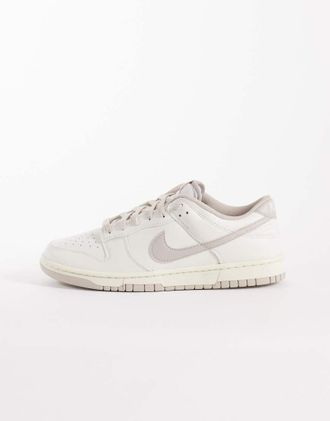 Nike Dunk Low Retro - Sneakers bianco sporco e grigie
