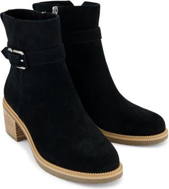 Toms Hailey Buckle Bootie in Black at Nordstrom, Size 7.5