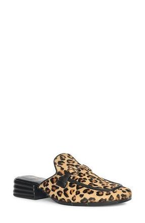 SaintG Savannah Genuine Calf Hair Mule in Leopard Calf Hair at Nordstrom Rack, Size 10Us / 40Eu