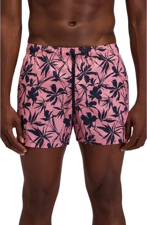 Sundek Print Swim Trunks in Rose Petal at Nordstrom, Size X-Large