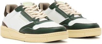 AllSaints Regan Low Top Sneaker in Chalk White/green at Nordstrom, Size 11
