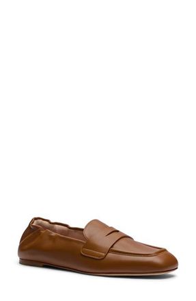 Stuart Weitzman Brynt Penny Loafer in Boho Tan at Nordstrom, Size 7.5