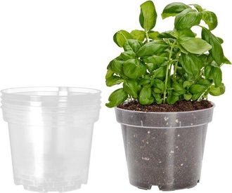 OEM Macetas Redondas Transparentes Para Plantas De Interior - Juego De 5, &Oslash; 21 Cm, Altura 16 Cm