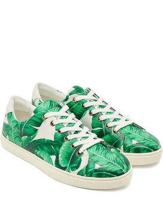 Dolce & Gabbana Leren sneakers met bananenbladprint - Groen