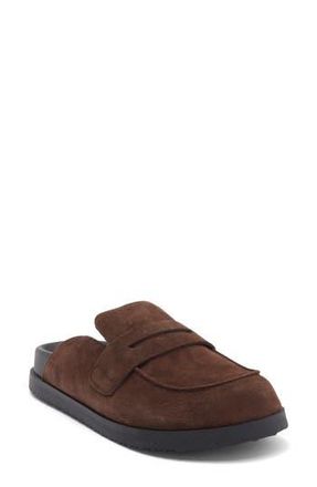 Steve Madden Toryn Loafer Mule in Brown Distressed Suede at Nordstrom Rack, Size 7.5
