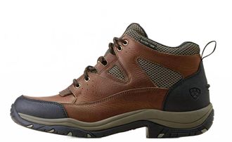 Ariat Mens Terrain Venttek 360 Hiking Boot In Brown/taupe