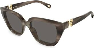 Chlo&eacute; Zonnebril met kattensnoet - Dames - Accessoires - Bruin - Maat: 53 MM Nylon