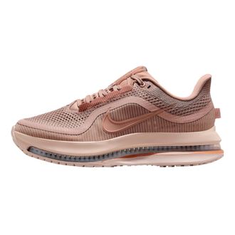 Nike Pegasus Premium Particle Pink / Metallic Rose Gold HQ2593-603 Womens