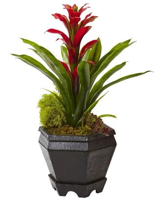 Nearly Natural Bromeliad in Black Hexagon Planter