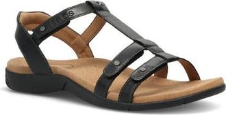 Taos Trophy 2 Sandal in Black Leather at Nordstrom, Size 10