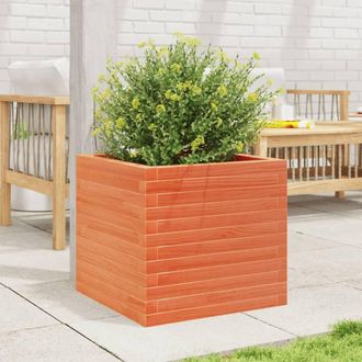 Berkfield Home Decorative Garden Planter Wax Brown 50x50x45.5 cm Solid Wood Pine in Burnt Orange