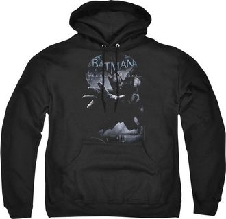 Gildan Batman Arkham Origins Out Of The Shadows Adult Pull Over Hoodie / Hooded Sweatshirt