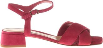 Baldinini Sandal in suede fuchsia - Dames - Sandalen met hakken - Rood - 36 EU - Schoenen