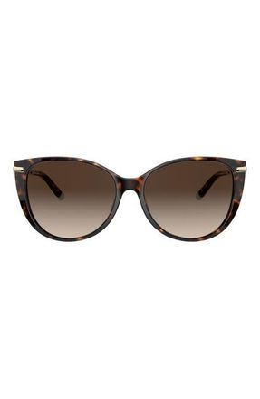 Tiffany & Co. 57mm Gradient Cat Eye Sunglasses in Dark Havana at Nordstrom