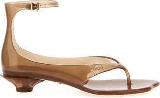 Chlo&eacute; Brown Ankle Strap Sandals