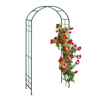 Relaxdays Relaxdays Arco De Jard&iacute;n Met&aacute;lico, Tutor Enredaderas Y Rosas, 224 X 110 X 41 Cm, Soporte Trepadoras, Resistente, Verde
