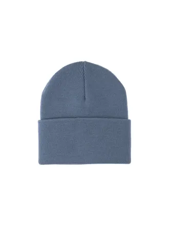 Carhartt Work in Progress Mens Hats Blue Acrylic