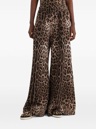 Dolce & Gabbana katoenen broek met luipaardprint