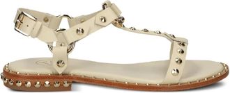 Ash Sandali Patsy - Toni neutri