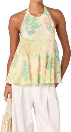 Astr Belen Babydoll Halter Top In Green Peach Tropical
