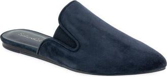 Splendid Liza Pointed Toe Mule in Navy at Nordstrom, Size 8.5