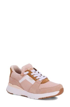 Drew Bobbie Lace-up Sneaker in Taupe Combo at Nordstrom, Size 8.5