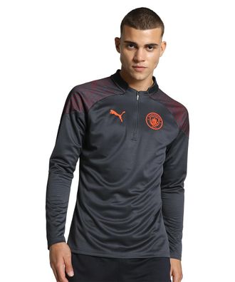 Puma Mens Manchester City Football Quarter-Zip Strong Gray-Aubergine XL