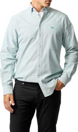 Rodd & Gunn Oxford Stripe Button-Down Shirt in Lawn at Nordstrom, Size Xxx-Large