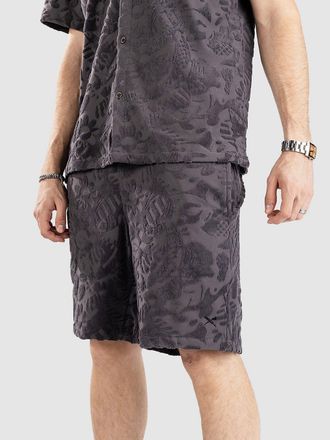 Iriedaily Kyle Shorts grau