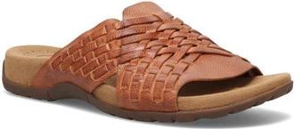 Taos Guru Slide Sandal in Honey at Nordstrom, Size 11