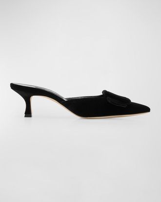 Manolo Blahnik Maysale Velvet Buckle Mule Pumps