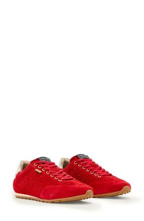 AllSaints Liam Sneaker in Red at Nordstrom, Size 10.5Us