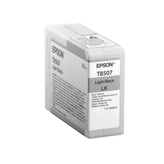 Epson Cartucho Impresora Epson C13t850700