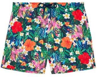 HOM Peacock Beach Boxer in Multico Print at Nordstrom, Size Xx-Large