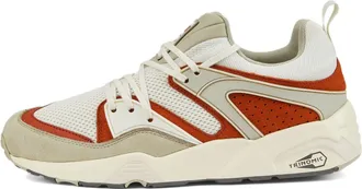 Puma Blaze Of Glory Vaporous Grey Warm Chestnut 387575-03