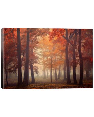 iCanvas Icanvas Feel By Ildiko Neer Wall Art