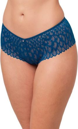 Montelle Intimates Feather Lace Brazilian Briefs in Peacock at Nordstrom, Size Xx-Large