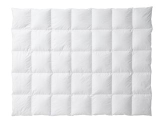 Schubiger M&ouml;bel Ganzjahresduvet Luzern 100