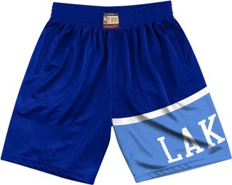 Mitchell & Ness Los Angeles Lakers 1959-60 Team Heritage Shorts Navy Blue SHORAC19049-LALROYA59