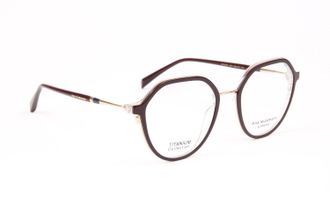 Ana Hickmann Optical Frame AH1554T H01 52 Titanium