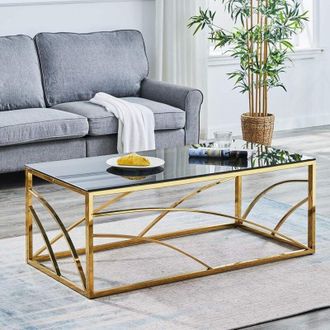 Ainpecca Stainless Steel Rectangular Glass Coffee Table Tea Table for Living Room- 120CM Modern Sleek Accent Center Table Lounge Table with Black Grey