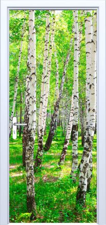 OEM Adhesivo De Tela Para Puerta Con Dise&ntilde;o De Bosque De Abedules 875pd