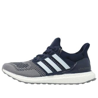 adidas Ultra Boost 1.0 Legend Ink White Grey IH3026