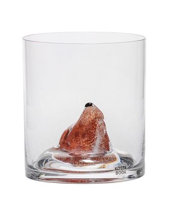 Kosta Boda New Friends Tumbler Fox