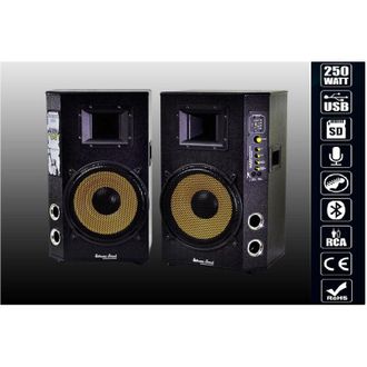 Trade Shop Trade Shop - Coppy Casse Audio Usb Bluetooth Para Karaoke Dj Extreme Sound Maxtech Cx-2s10u-b