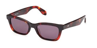 adidas OR0117 54A Mens Sunglasses Tortoiseshell Size 53