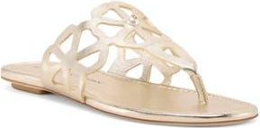 Stuart Weitzman Jasmine Cutout Sandal in Light Gold at Nordstrom Rack, Size 5.5