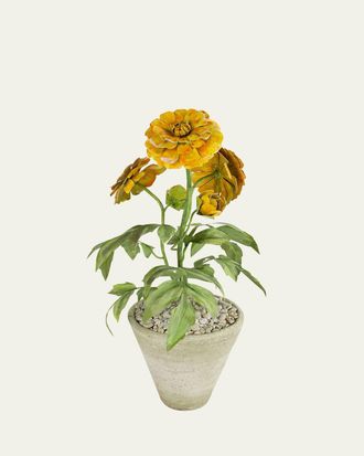 Tommy Mitchell Marigold October Birth Flower in White Terracotta Pot